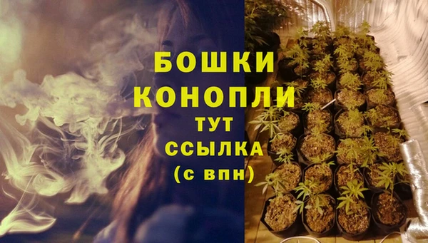 дмт Инсар