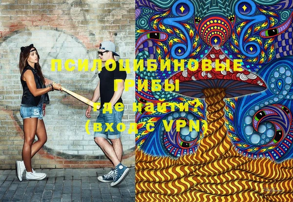 амф Инта