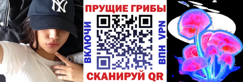 МЕГА онион  Катав-Ивановск  Галлюциногенные грибы мухоморы  где купить наркоту 